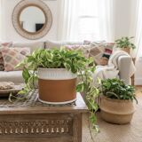 Terracotta cache-pot and slip - Maison Chaumette Paris