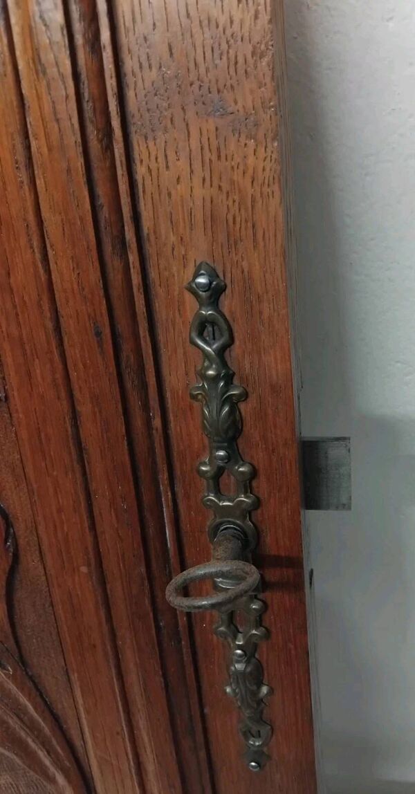 Paire d'anciens panneaux de porte en bois chêne sculpté