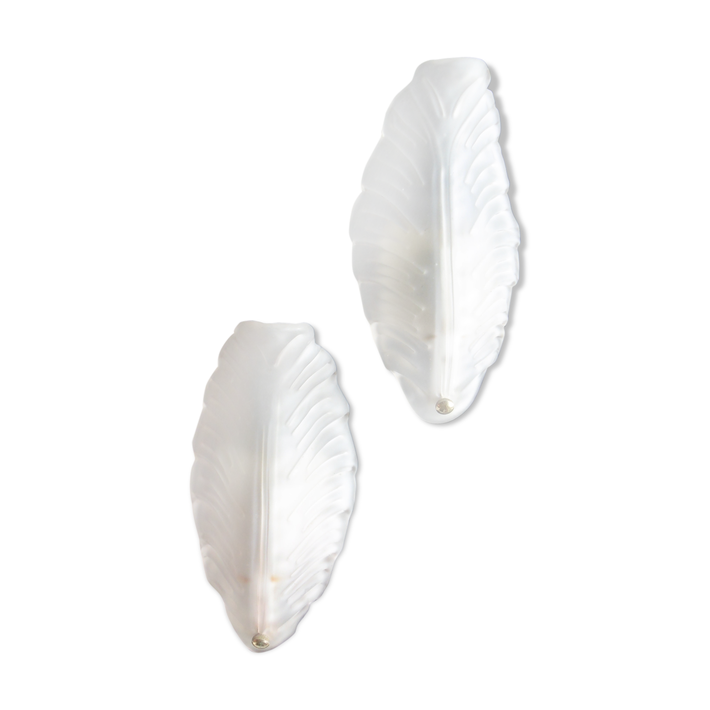 Paire of sconces 1950