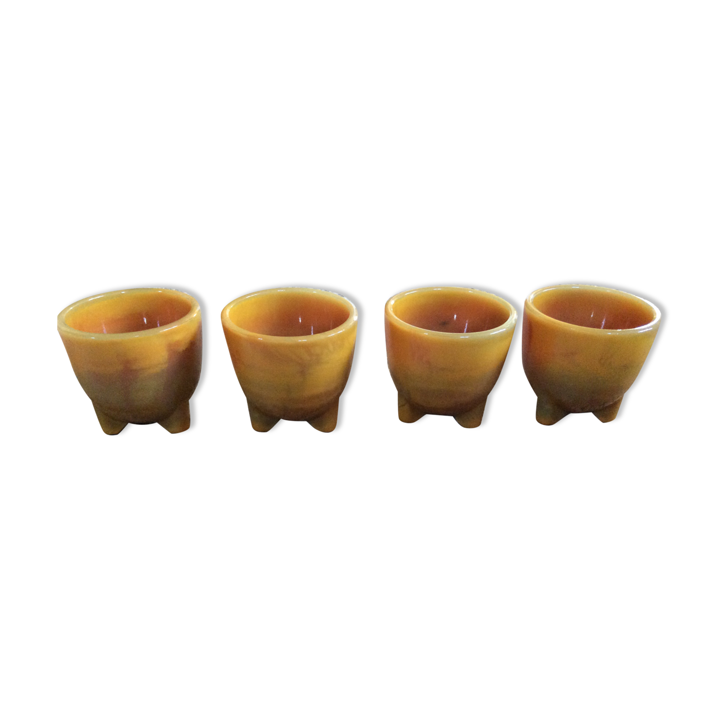 Series of 4 cockroaches