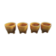 Series of 4 cockroaches