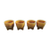 Series of 4 cockroaches