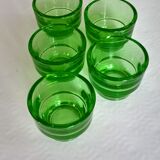 Lot of 5 cockroaches