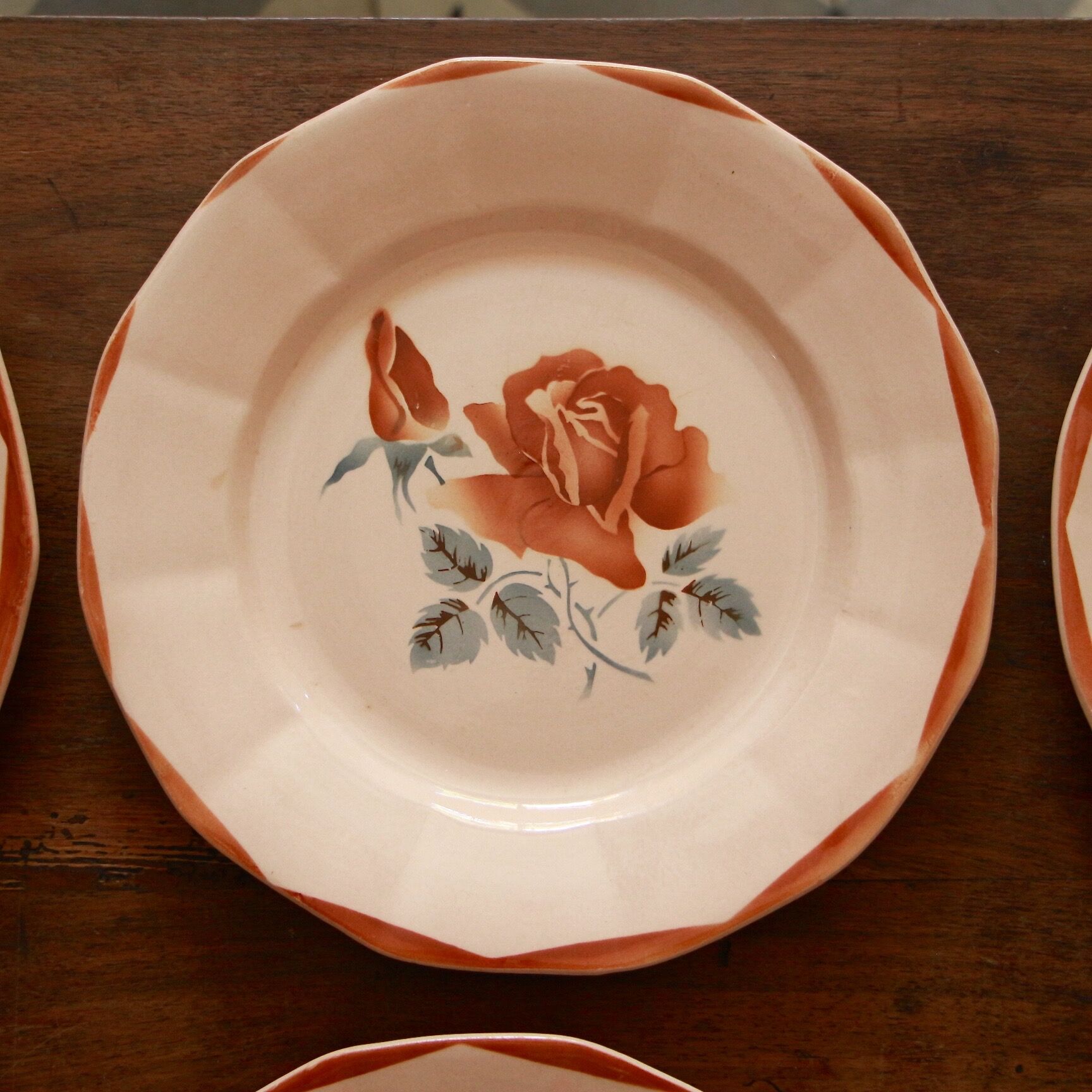 Assiettes plates DIgoin