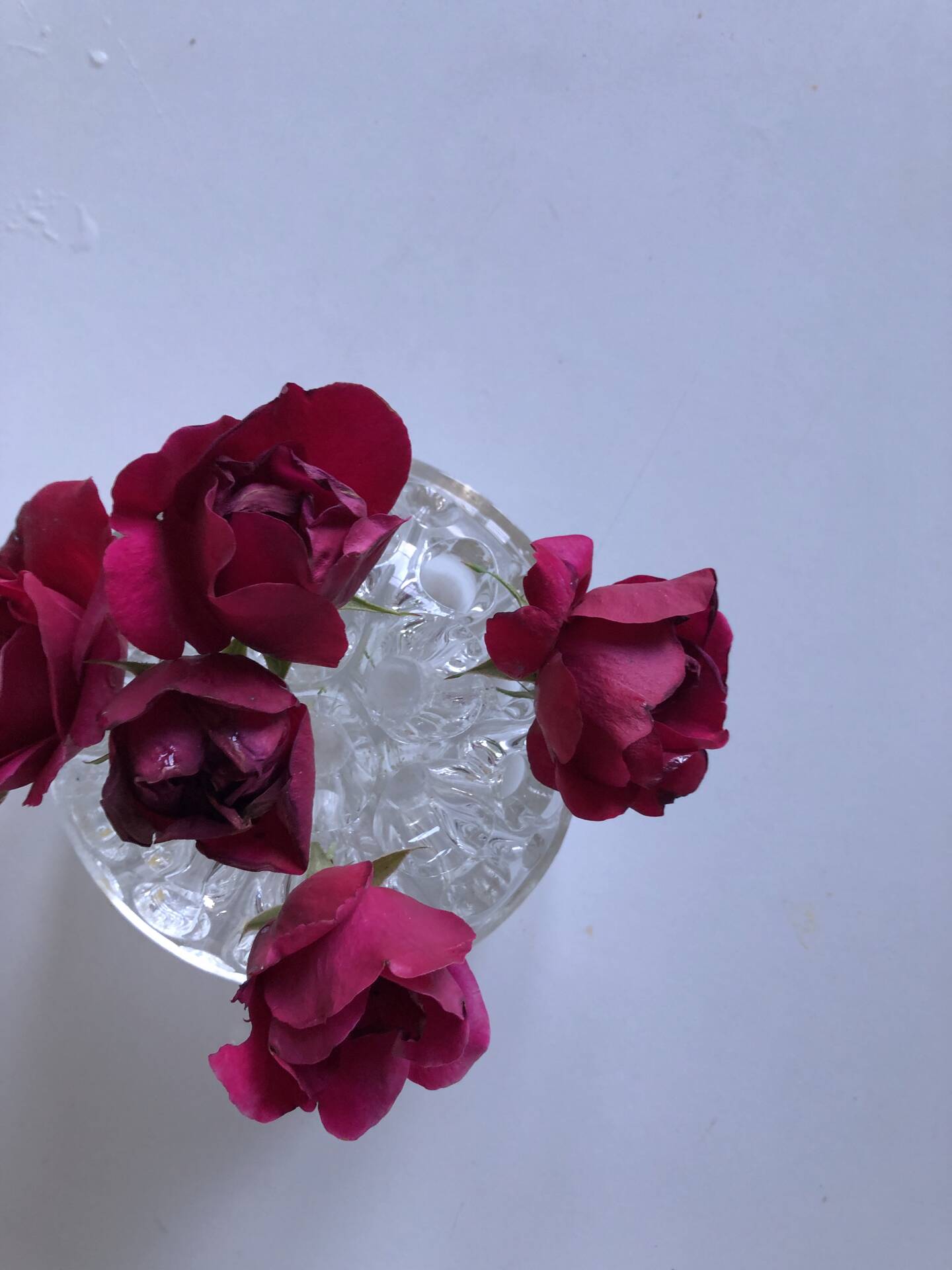 Glass vase for flower head