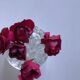 Glass vase for flower head