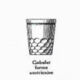 Series of 12 baccarat cups model chauny , catalog 1916