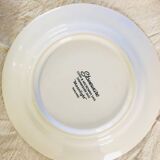 Set of 5 vintage dessert plates retro earthenware geese patterns stoneware moonlight