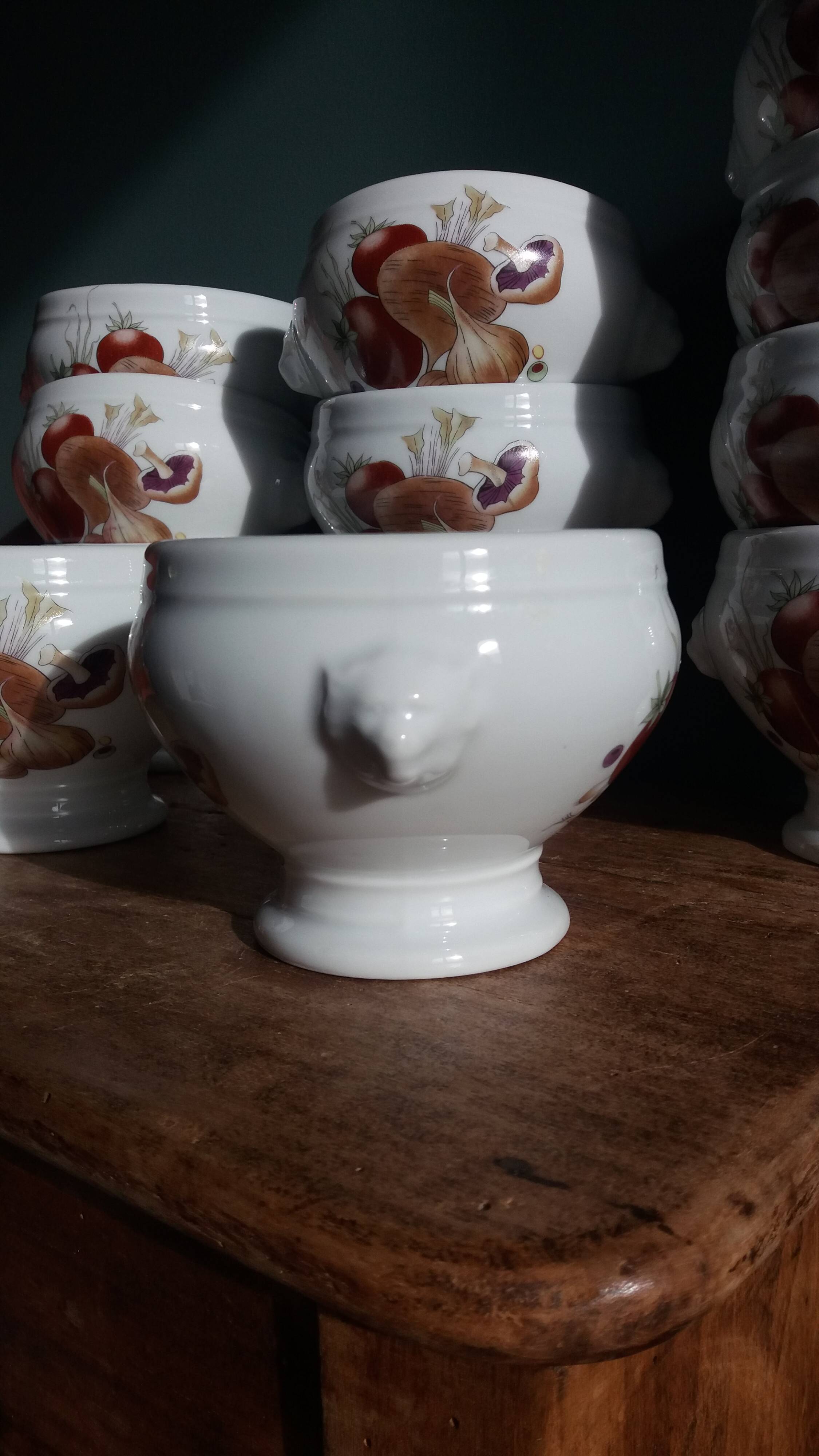Pyrolux Lourioux porcelain soup bowls