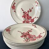 11 dessert plates Saint Amand Terre de Fer, 1930