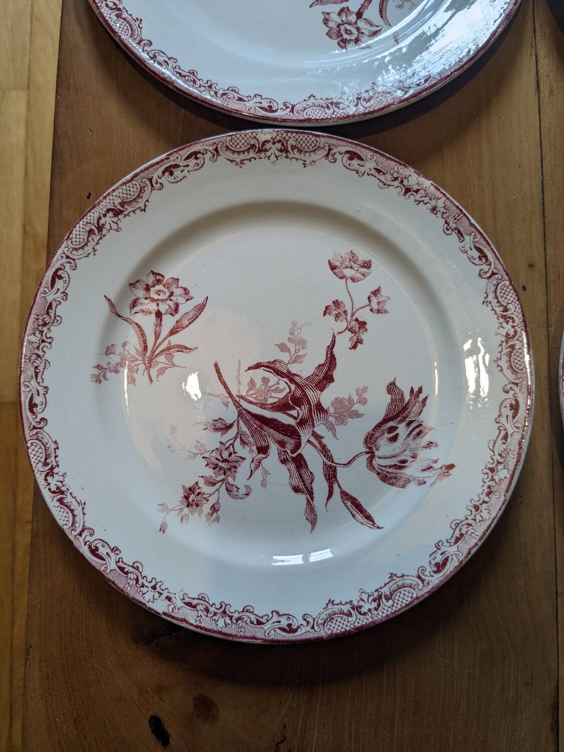 12 assiettes à dessert Sarreguemines Fontanges
