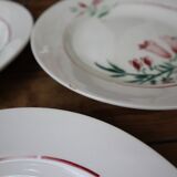 6 assiettes plates ancienne modèle Pec de la Société amandinoise Saint-Amand