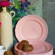 Seven ceramic plates of vintage salins