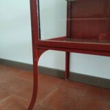 Vitrine médicale vintage