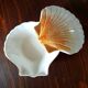 Ceramic shell 1960