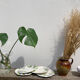 4 assiettes à dessert blanches en barbotine de raisin vintage Japon