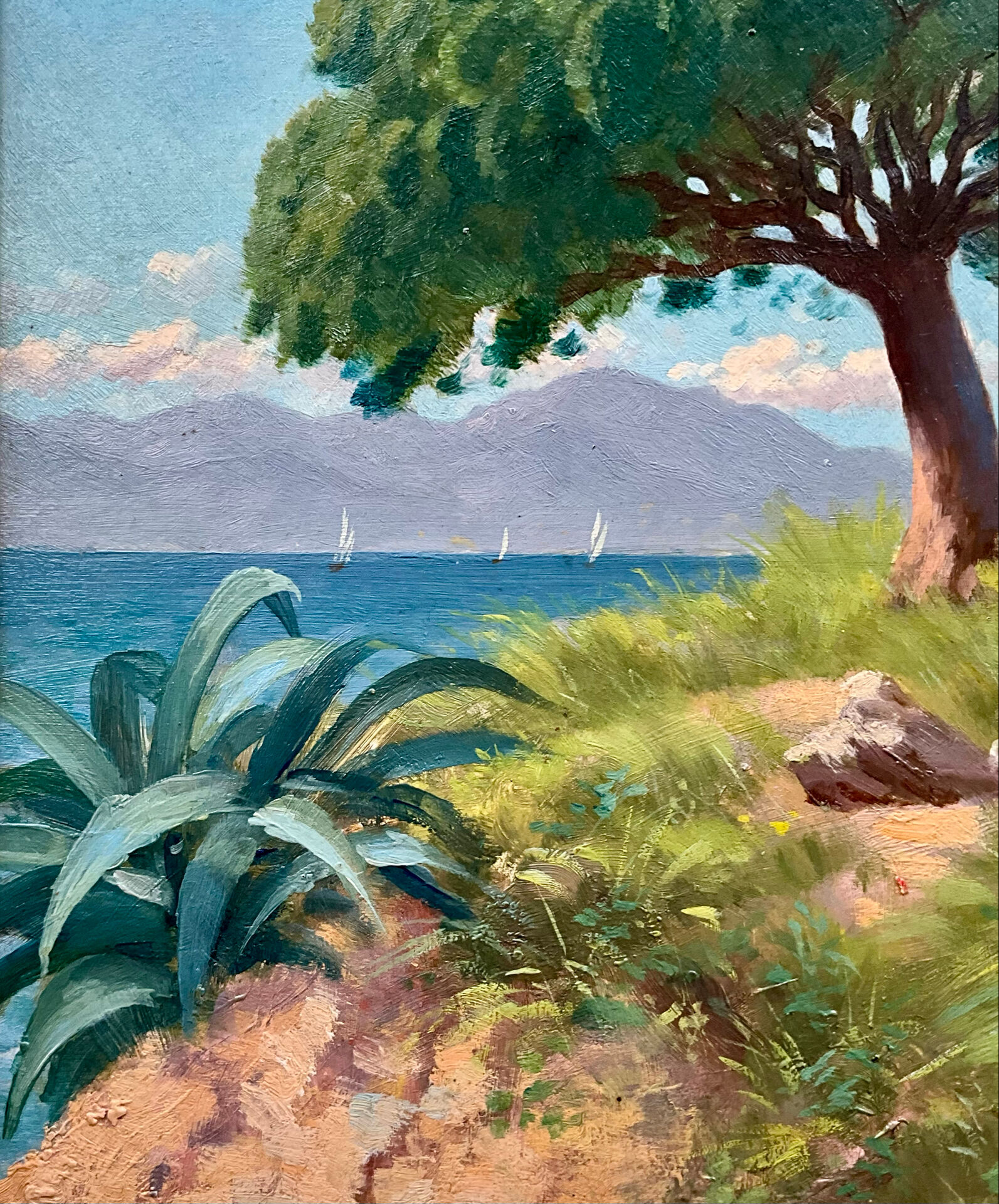 Oil on panel Cannes La Bocca 1909 signed Tom Evans