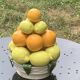 Vintage ceramic barbotine citrus fruit centrepiece