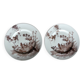 2 old Creil & Montereau plates Goldfinch Birds Service**8 other available