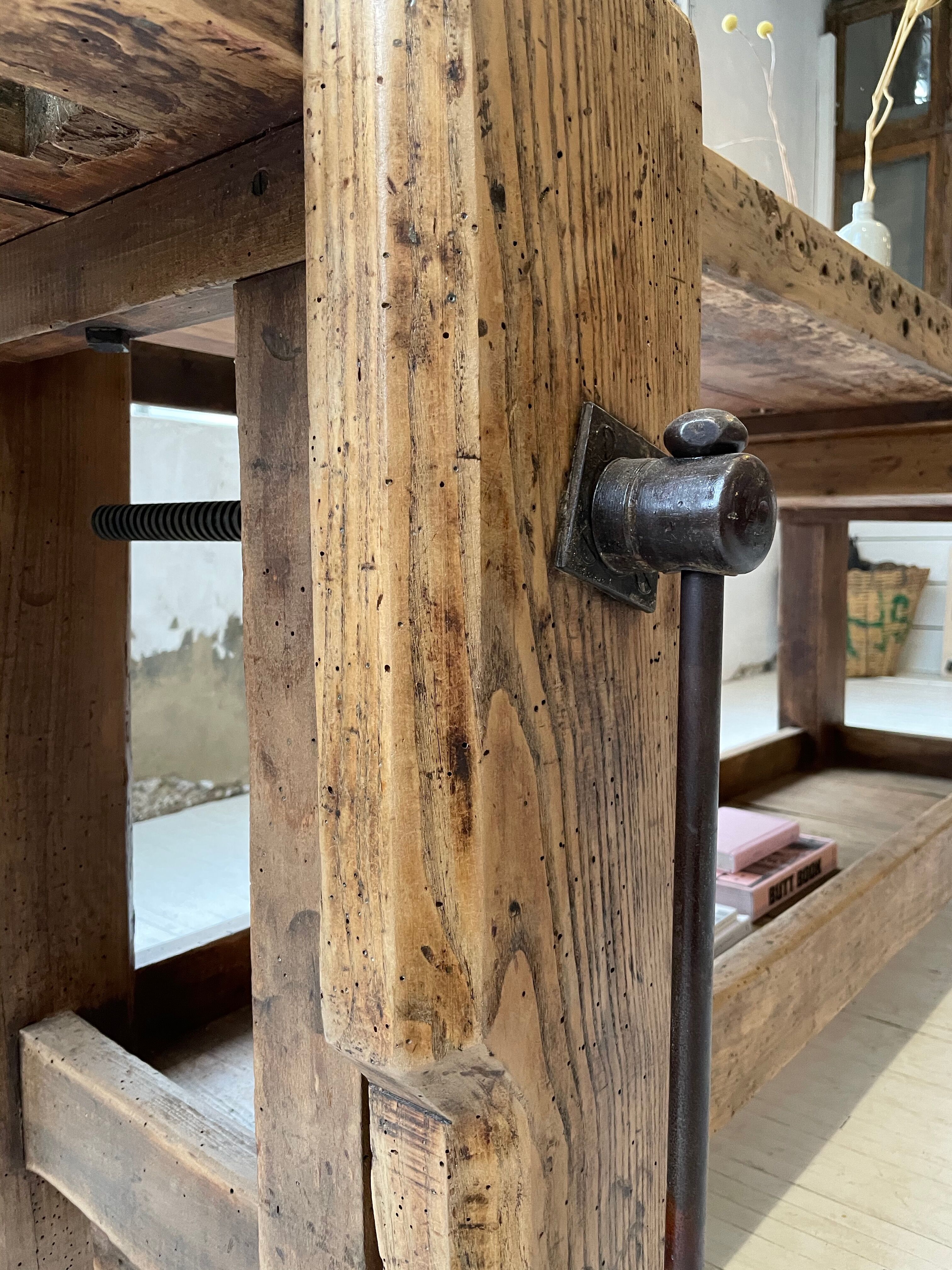 Established old oak XL