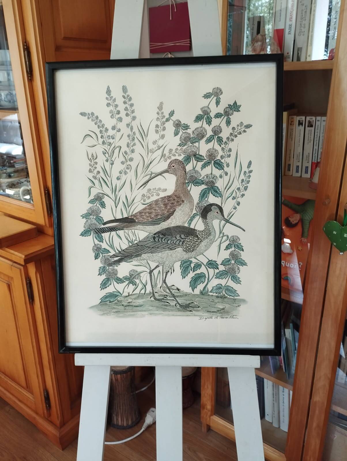 Aquarelle courlis Dayelle de Terronblan