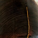 Wooden lamp