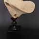 Cabinet of Curiosities sponge carteriospongia foliascens on base