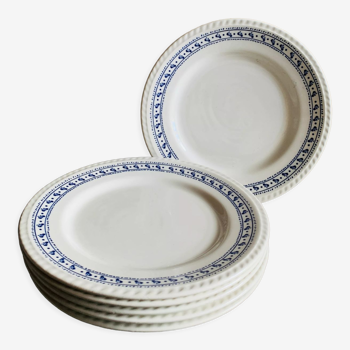 Vintage white plates with blue décor