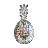 Empty pineapple pocket