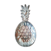 Empty pineapple pocket