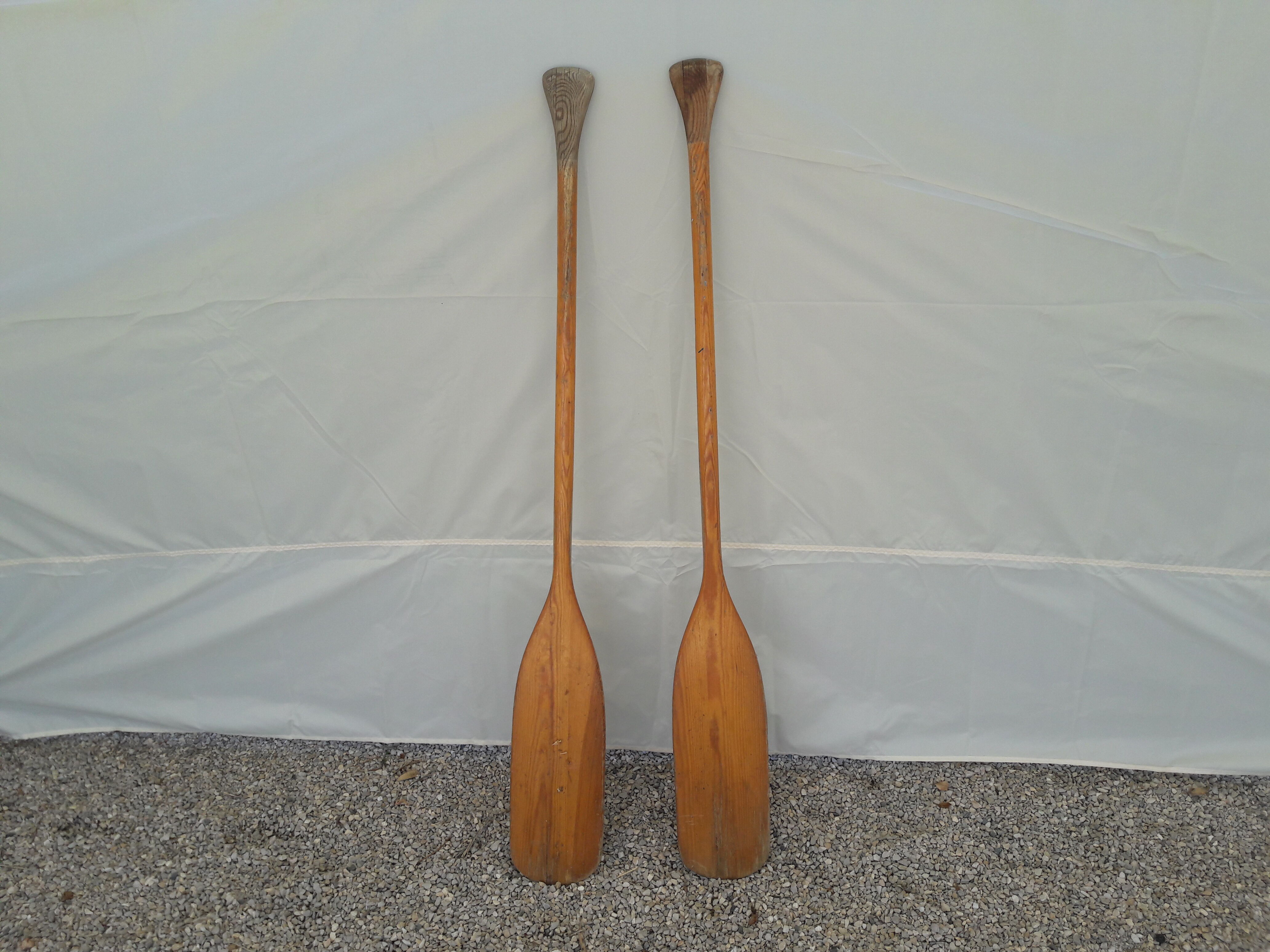 Two paddles