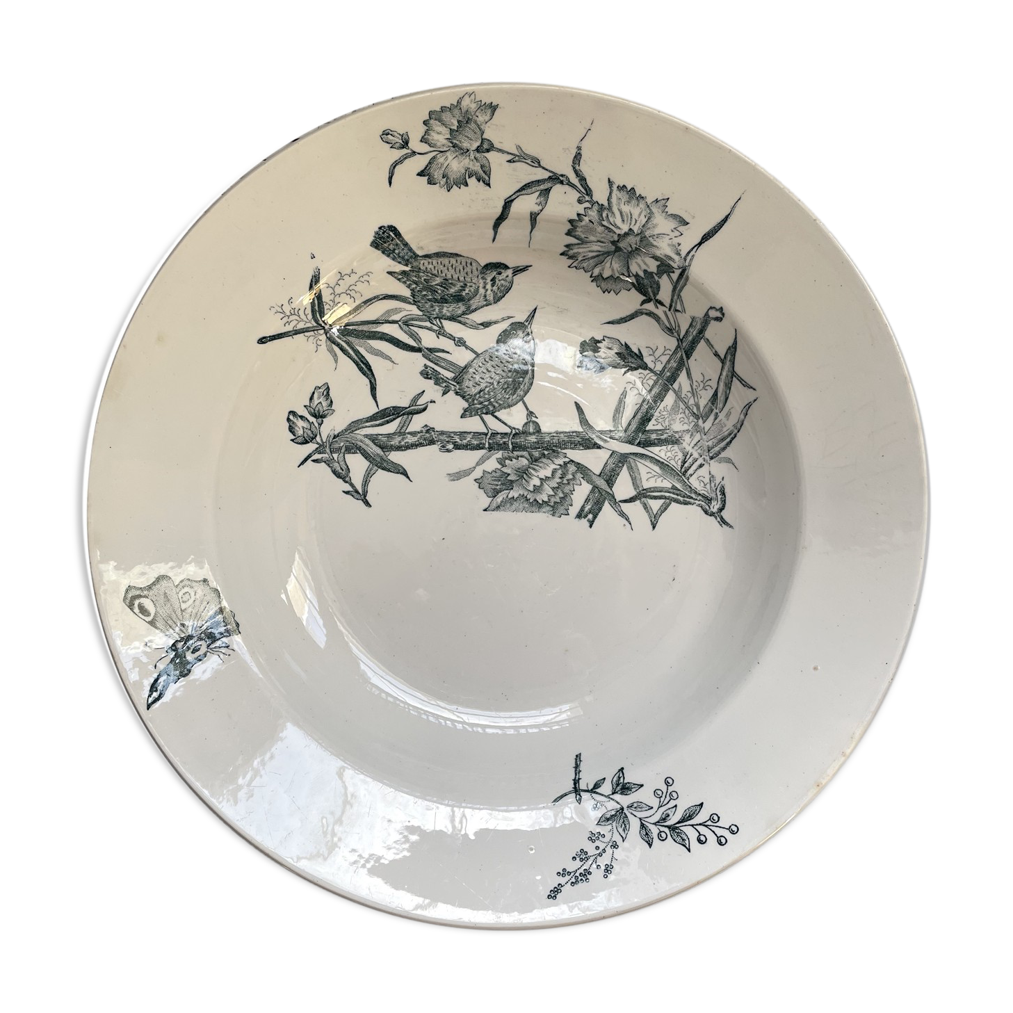 Hollow dish Saint Amand & Hamage "Aucella"