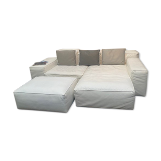 Canape roche bobois cuir