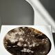 Dish in petrified wood