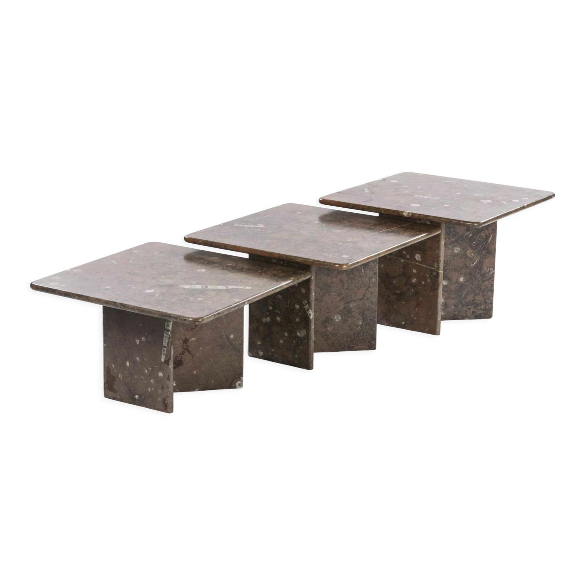 Fossilized stone nesting tables
