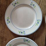 Assiettes à dessert bleuet