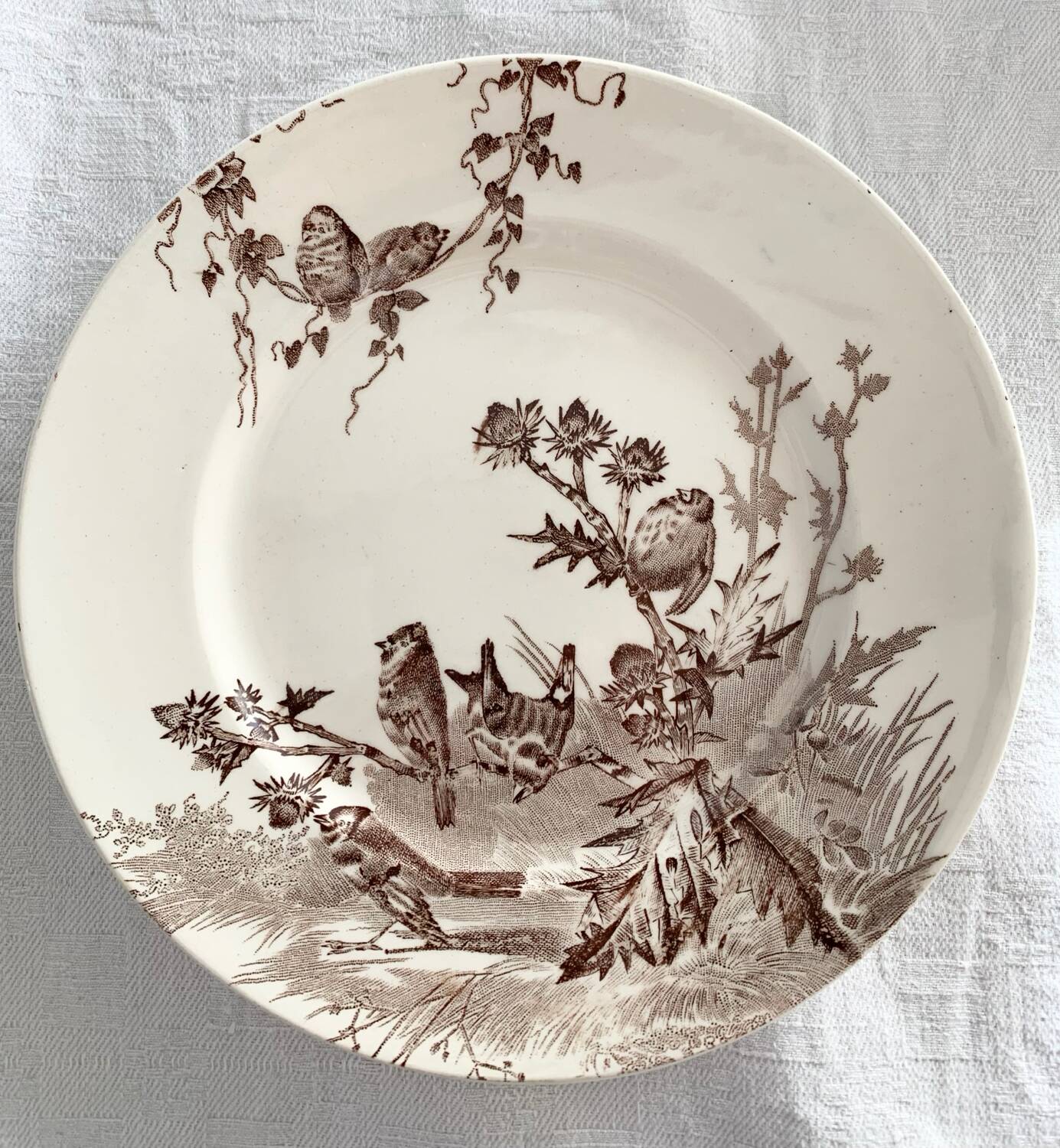 Dessert plates creil et montereau service chardonneret