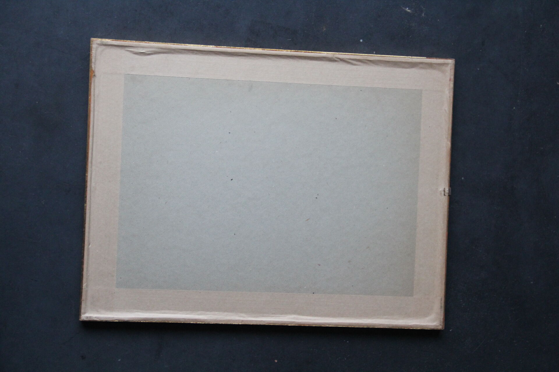 Framed engraving by PJ Redouté