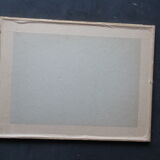 Framed engraving by PJ Redouté