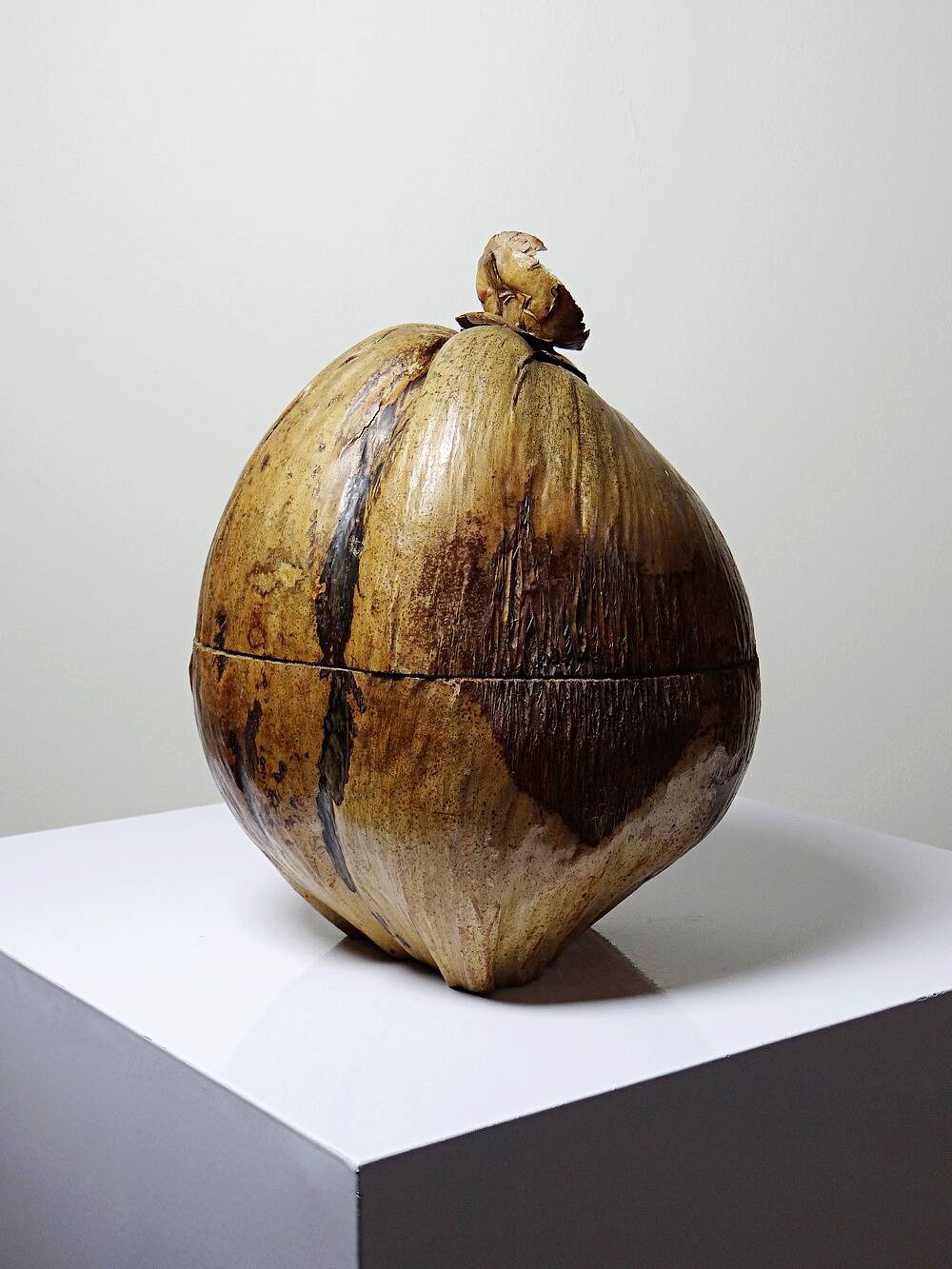 Large box/ice bucket curiosity Naturalised African Coconut vintage