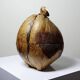 Large box/ice bucket curiosity Naturalised African Coconut vintage