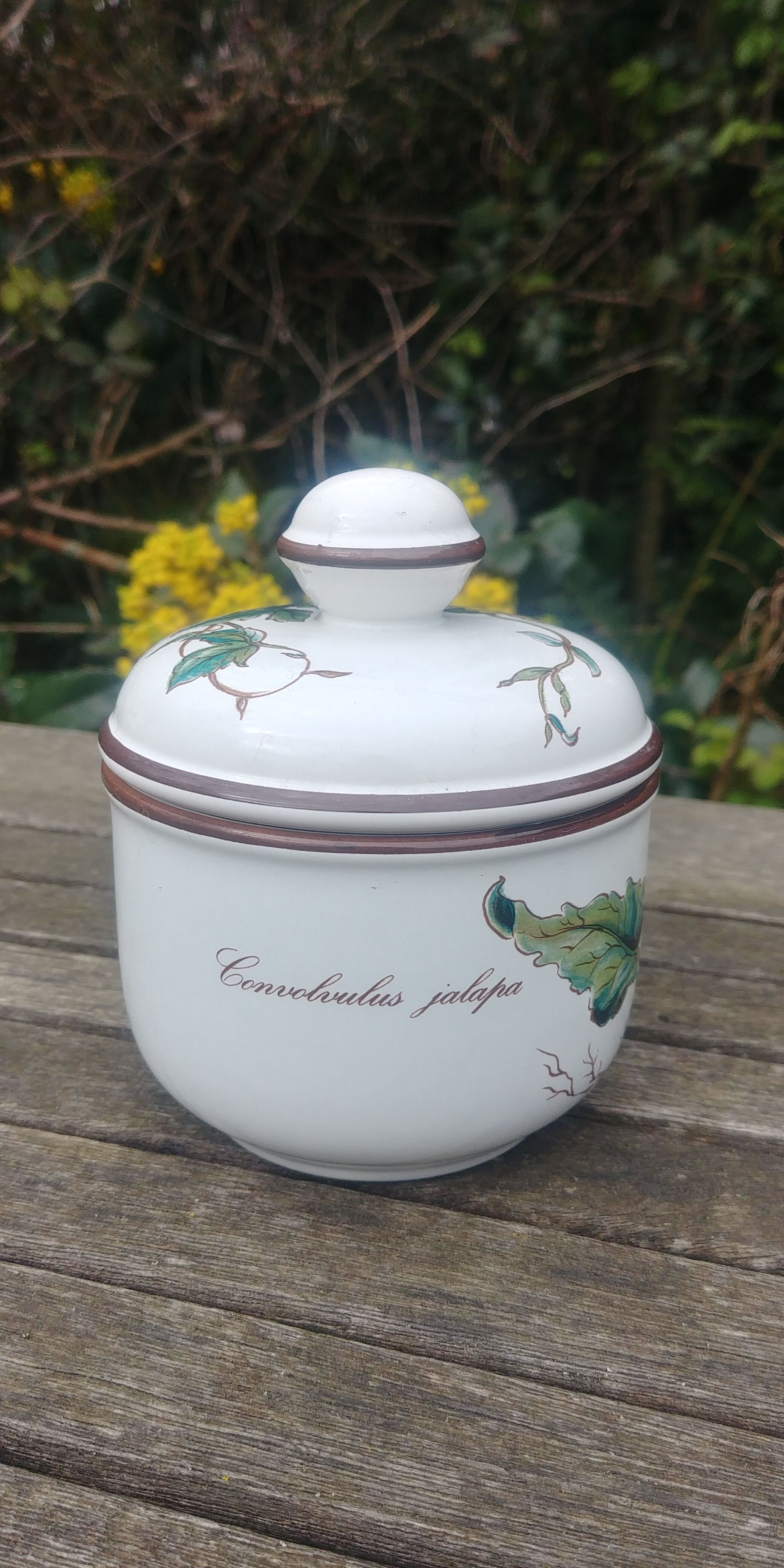 A sugar bowl from Villeroy & Boch model Botanica
