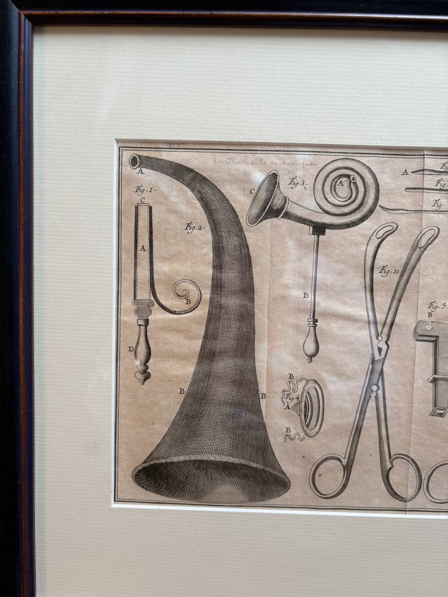 Antique Print Engraving 19th Century Framed Medical Instruments engraving Lorenzo