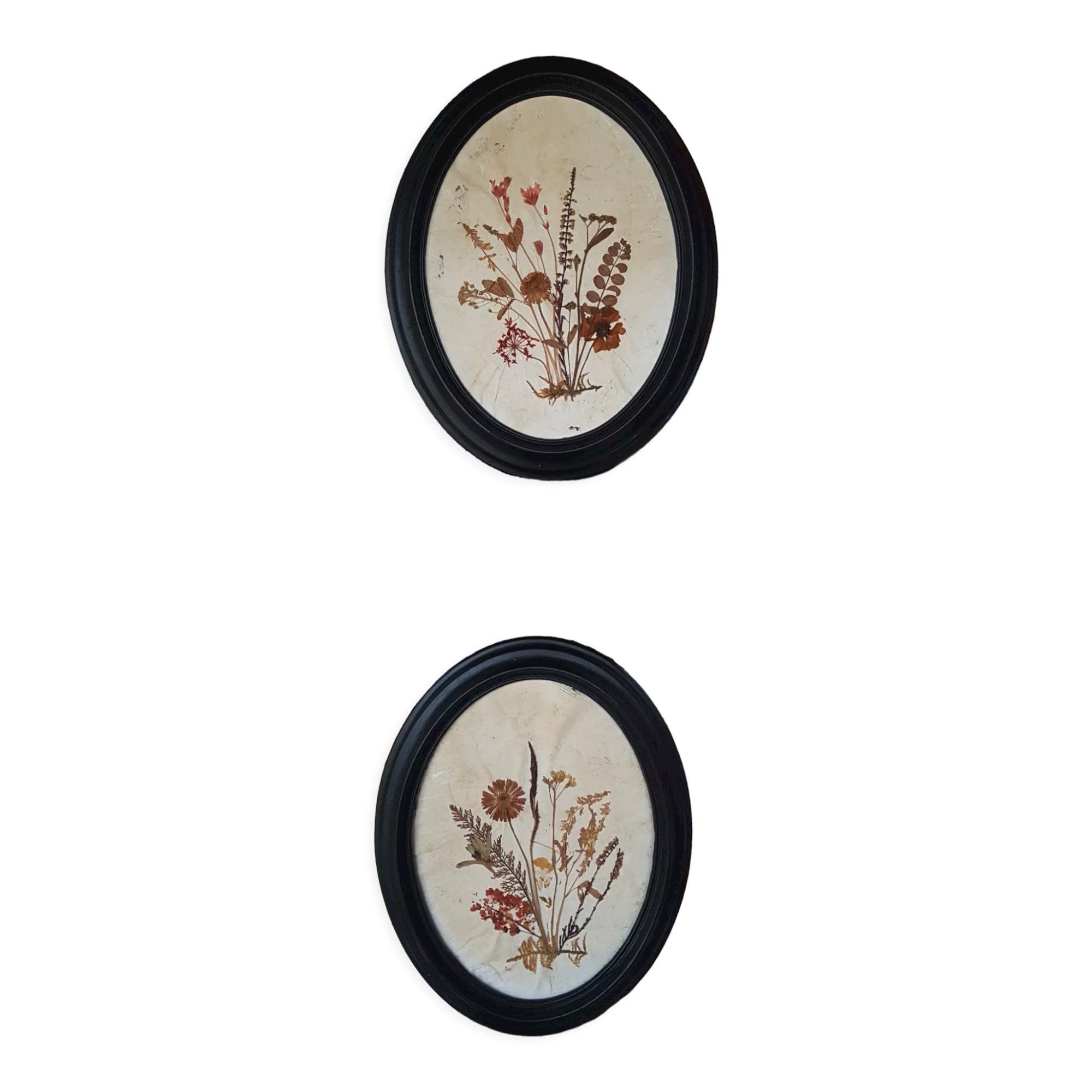 Pair of dried flower frames