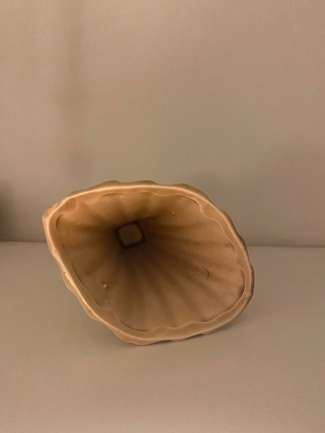 Beige shell vase