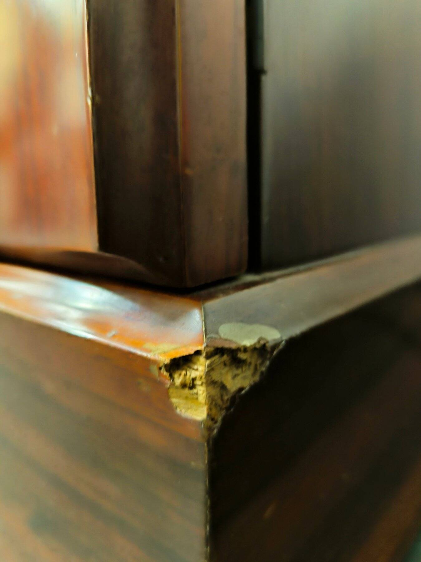 Luciano Frigerio Credenza "Tartaro" in Padouk