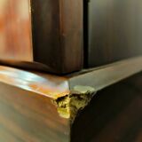 Luciano Frigerio Credenza "Tartaro" in Padouk