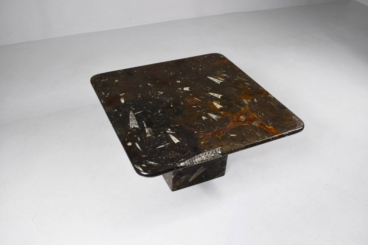 Vintage fossilized stone coffee table