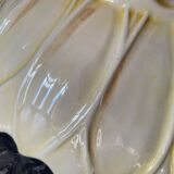 Sunflower slip dish drainer