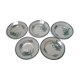 Set de 5 assiettes creuses Terre de Fer Muguet  St Amandinoise